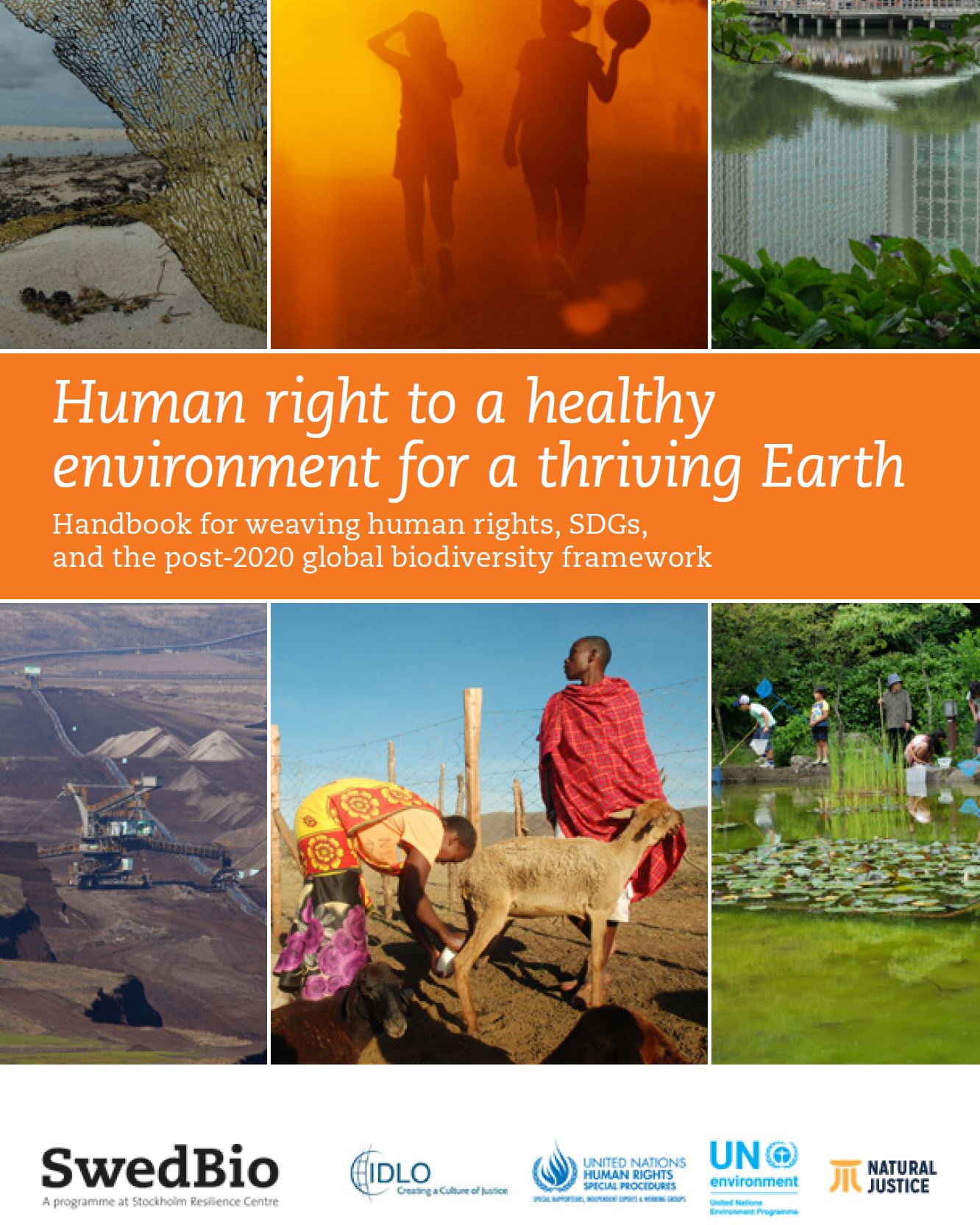 Human right to a healthy environment for a thriving Earth | SwedBio